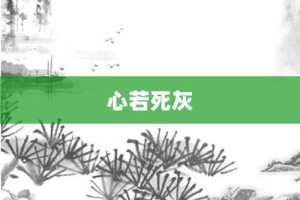 心若死灰【心若死灰的意思】- 成语大全