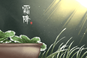 霜降的降是什么意思，霜降和霜冻意思有什么差别_民俗文化 菊江历史网