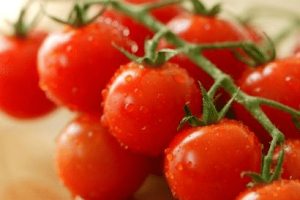 圣女果为什么叫圣女果，这个名字的由来是什么_民俗文化 菊江历史网