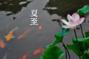 二十四节气中的“夏至”从何而来，都有什么习俗呢_民俗文化 菊江历史网