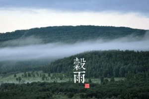 二十四节气中的“谷雨”从何而来，都有什么习俗呢_民俗文化 菊江历史网