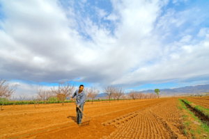 春分时有哪些习俗，雍正乾隆都要在这天下田耕种，当一天农民_民俗文化 菊江历史网
