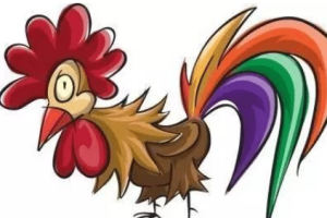 中国寓言故事之雄鸡与鸿雁，这篇寓言揭露了什么道理_民俗文化 菊江历史网