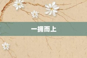 一拥而上【一拥而上的意思】- 成语大全