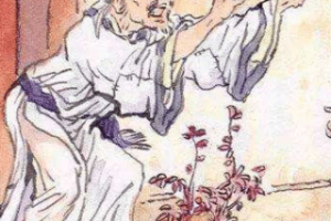 范进中举后，为何会被自己的老丈人胡屠户打一巴掌_民俗文化 菊江历史网