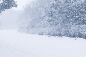 大雪节气你知道吗，二十四节气之大雪节气_民俗文化 菊江历史网