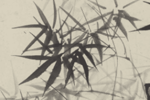 《竹石图》描绘的是一副什么情景_民俗文化 菊江历史网