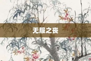 无服之丧【无服之丧的意思】- 成语大全