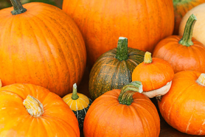 南瓜节是什么，南瓜节是哪个少数民族的节目_民俗文化 菊江历史网