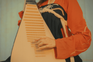 柳琴是什么样的乐器，与琵琶有什么不同_民俗文化 菊江历史网