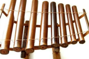 竹筒琴是那个民族的乐器，其外形是怎样的_民俗文化 菊江历史网
