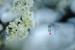 “春分”的节名有何含义，春分时节有哪些传统习俗_民俗文化 菊江历史网