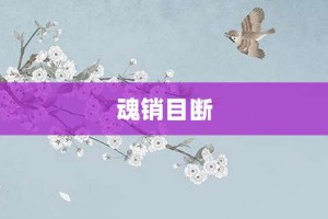 魂销目断【魂销目断的意思】- 成语大全