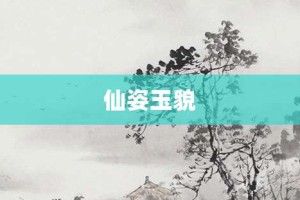 仙姿玉貌【仙姿玉貌的意思】- 成语大全