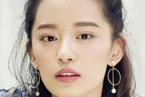 王禛【中国内地女演员】 – 人物百科