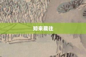 知来藏往【知来藏往的意思】- 成语大全