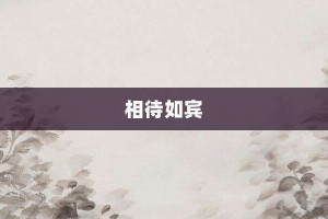 相待如宾【相待如宾的意思】- 成语大全