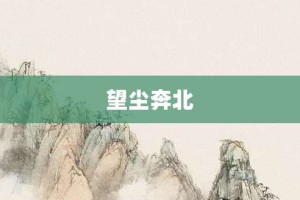 望尘奔北【望尘奔北的意思】- 成语大全