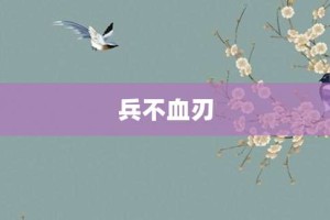 兵不血刃【兵不血刃的意思】- 成语大全