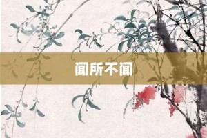闻所不闻【闻所不闻的意思】- 成语大全