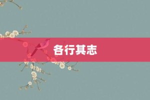各行其志【各行其志的意思】- 成语大全