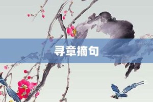 寻章摘句【寻章摘句的意思】- 成语大全