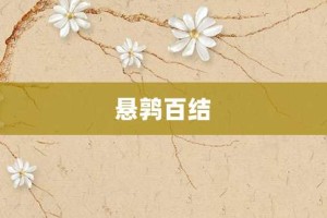 悬鹑百结【悬鹑百结的意思】- 成语大全