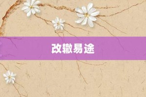 改辙易途【改辙易途的意思】- 成语大全