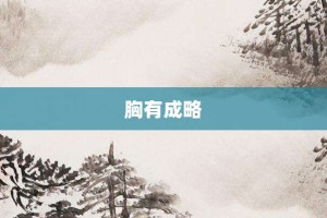 胸有成略【胸有成略的意思】- 成语大全