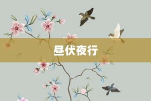昼伏夜行【昼伏夜行的意思】- 成语大全