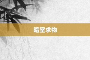 暗室求物【暗室求物的意思】- 成语大全