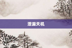 泄漏天机【泄漏天机的意思】- 成语大全