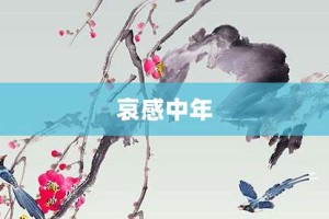 哀感中年【哀感中年的意思】- 成语大全