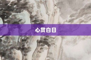 心贯白日【心贯白日的意思】- 成语大全