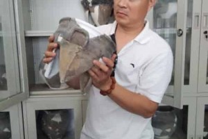 孔令伟【书画艺术家，非物质文化遗产葫芦雕刻技法传承人，孔子七十六代后裔】 – 人物百科