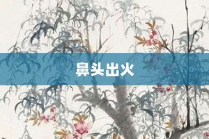 鼻头出火【鼻头出火的意思】- 成语大全