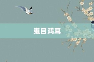 嵬目鸿耳【嵬目鸿耳的意思】- 成语大全