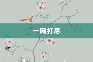 一网打尽【一网打尽的意思】- 成语大全