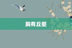 胸有丘壑【胸有丘壑的意思】- 成语大全