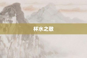 杯水之敬【杯水之敬的意思】- 成语大全