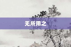 无所用之【无所用之的意思】- 成语大全