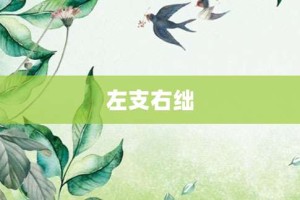 左支右绌【左支右绌的意思】- 成语大全