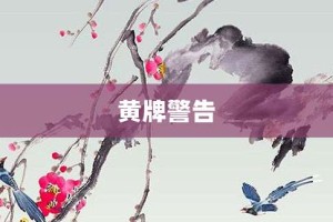 黄牌警告【黄牌警告的意思】- 成语大全