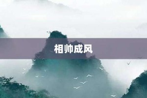 相帅成风【相帅成风的意思】- 成语大全
