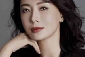 陈数【中国女演员，白玉兰、金鹰奖、华鼎奖三料视后】 – 人物百科