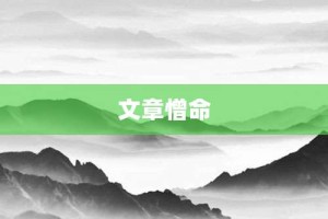 文章憎命【文章憎命的意思】- 成语大全