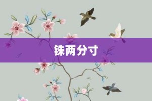 铢两分寸【铢两分寸的意思】- 成语大全