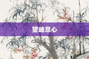 望岫息心【望岫息心的意思】- 成语大全