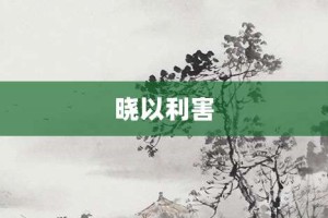 晓以利害【晓以利害的意思】- 成语大全