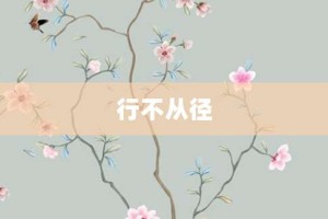 行不从径【行不从径的意思】- 成语大全